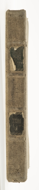 Talmud Babiloński