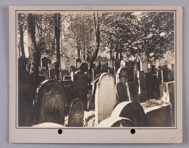 Fotografia cmentarza żydowskiego w Warszawie