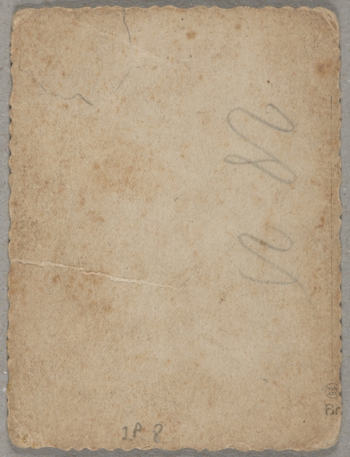 fotografie (fotografie historyczne i albumy fotograficzne)#fotografie#pozytywy