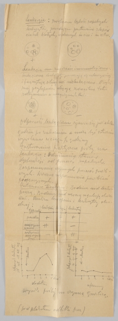 Notatki Ludwika Flecka