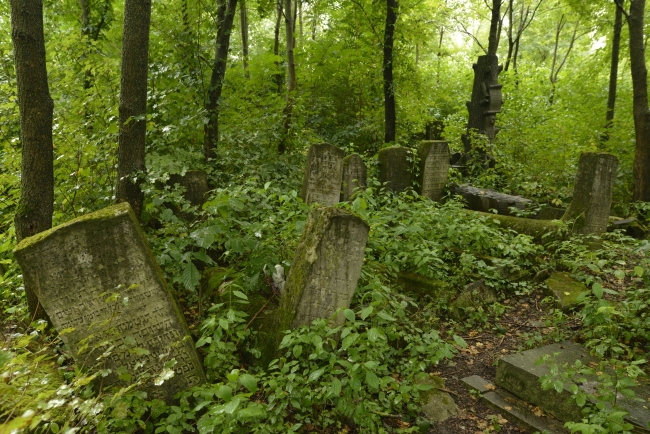 Cmentarz żydowski w Kamieńcu Podolskim (wuł. Hordijczuka 10)