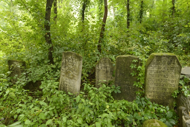 Cmentarz żydowski w Kamieńcu Podolskim (wuł. Hordijczuka 10)