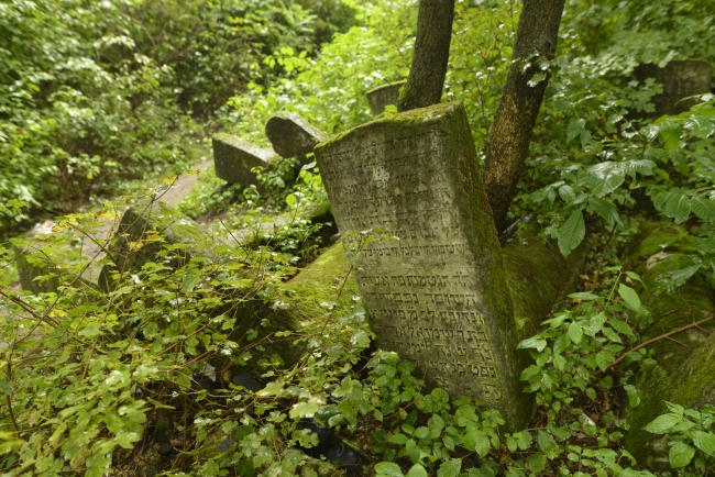 Cmentarz żydowski w Kamieńcu Podolskim (wuł. Hordijczuka 10)