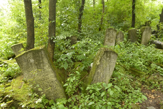 Cmentarz żydowski w Kamieńcu Podolskim (wuł. Hordijczuka 10)