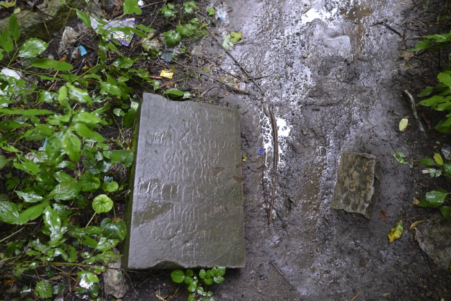 Cmentarz żydowski w Kamieńcu Podolskim (wuł. Hordijczuka 10)
