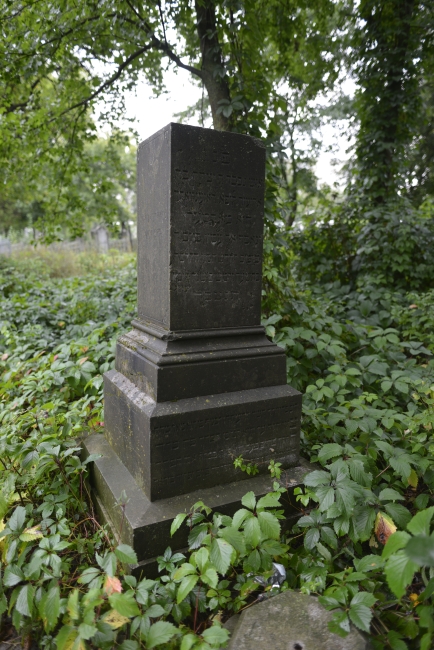 Cmentarz żydowski w Kamieńcu Podolskim (wuł. Hordijczuka 10)