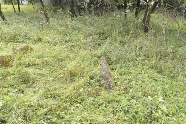 Cmentarz żydowski w Kamieńcu Podolskim (Zińkowce, wuł. Kirhizowa 46)