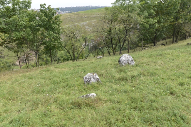 Cmentarz żydowski w Kamieńcu Podolskim (Zińkowce, wuł. Kirhizowa 46)