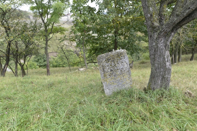 Cmentarz żydowski w Kamieńcu Podolskim (Zińkowce, wuł. Kirhizowa 46)
