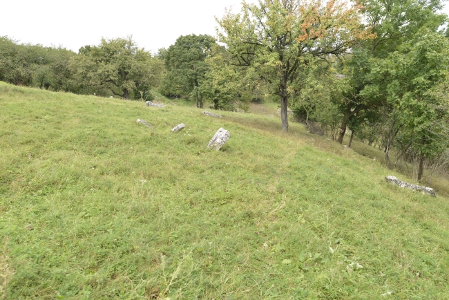 Cmentarz żydowski w Kamieńcu Podolskim (Zińkowce, wuł. Kirhizowa 46)