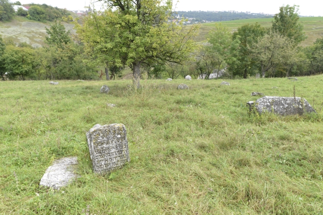 Cmentarz żydowski w Kamieńcu Podolskim (Zińkowce, wuł. Kirhizowa 46)