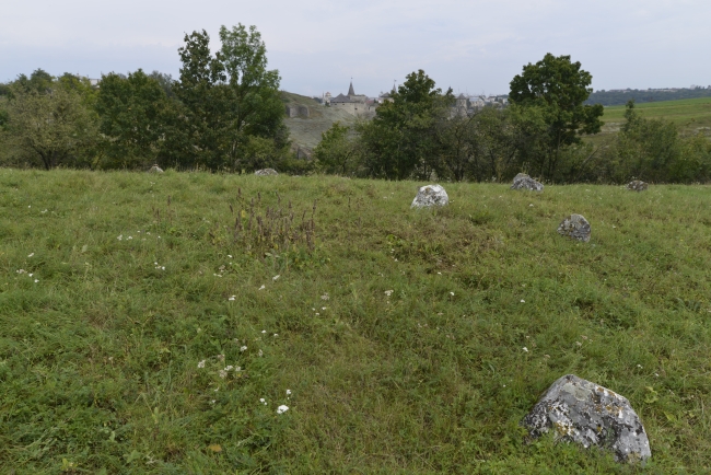 Cmentarz żydowski w Kamieńcu Podolskim (Zińkowce, wuł. Kirhizowa 46)