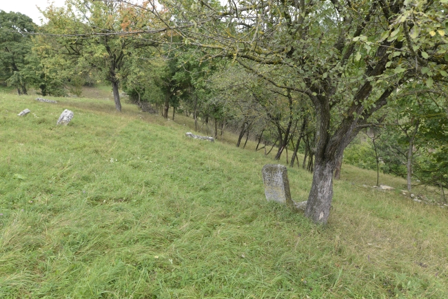Cmentarz żydowski w Kamieńcu Podolskim (Zińkowce, wuł. Kirhizowa 46)