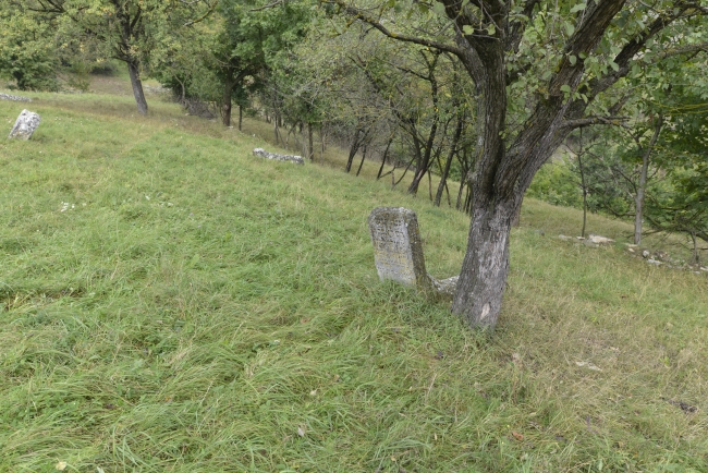 Cmentarz żydowski w Kamieńcu Podolskim (Zińkowce, wuł. Kirhizowa 46)