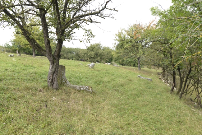 Cmentarz żydowski w Kamieńcu Podolskim (Zińkowce, wuł. Kirhizowa 46)