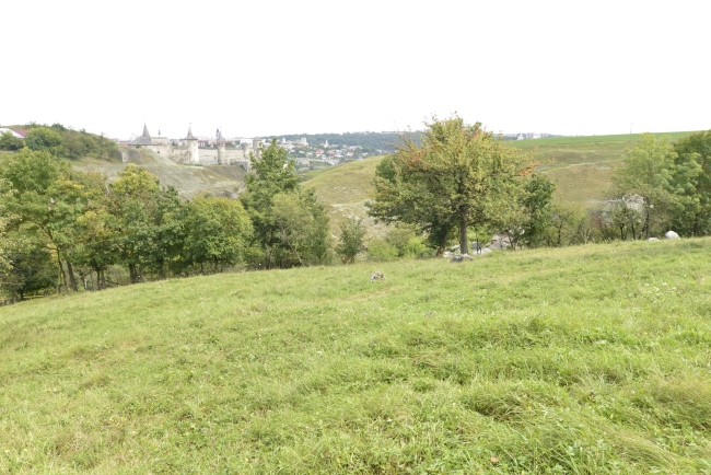 Cmentarz żydowski w Kamieńcu Podolskim (Zińkowce, wuł. Kirhizowa 46)