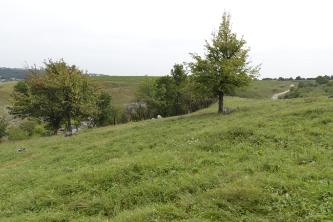 Cmentarz żydowski w Kamieńcu Podolskim (Zińkowce, wuł. Kirhizowa 46)