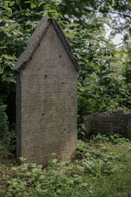 Stary cmentarz żydowski przy ul. Kalinowszczyzna w Lublinie