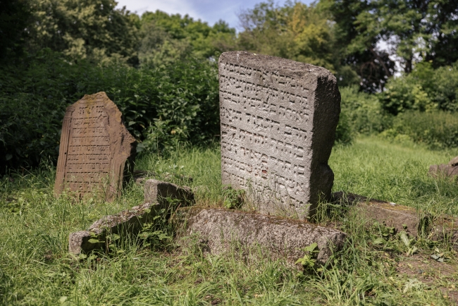 Stary cmentarz żydowski przy ul. Kalinowszczyzna w Lublinie