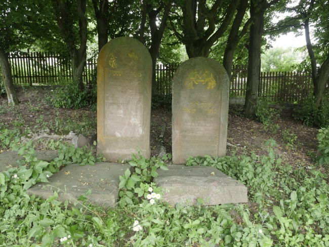 Cmentarz żydowski w Rohatynie (wuł. Turjanśkoho)