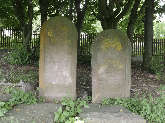 Cmentarz żydowski w Rohatynie (wuł. Turjanśkoho)