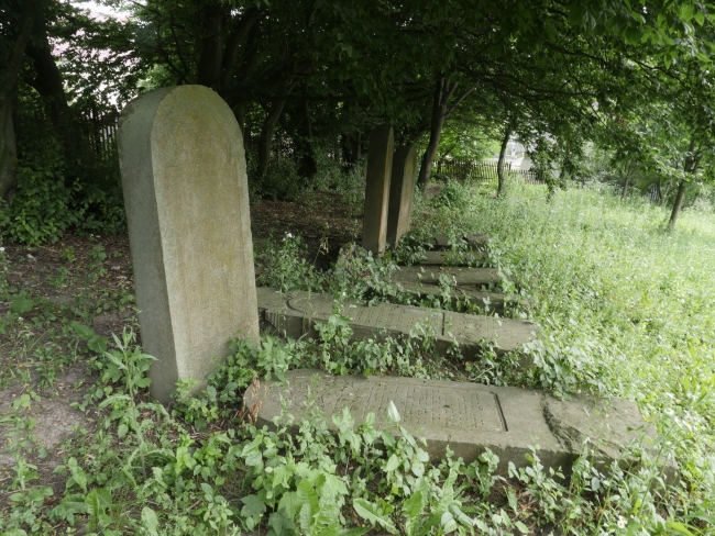 Cmentarz żydowski w Rohatynie (wuł. Turjanśkoho)