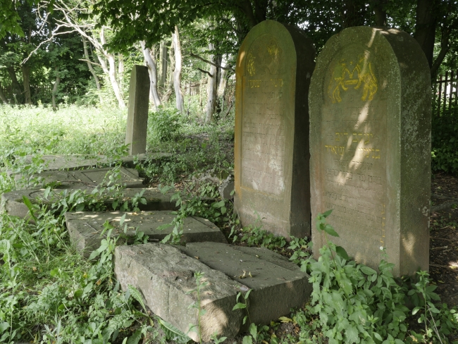 Cmentarz żydowski w Rohatynie (wuł. Turjanśkoho)