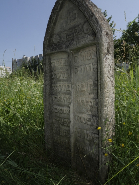 Cmentarz żydowski w Kałuszu (wuł. Biłasa i Danyłyszyna 14)