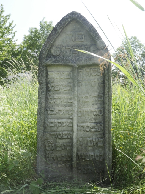 Cmentarz żydowski w Kałuszu (wuł. Biłasa i Danyłyszyna 14)