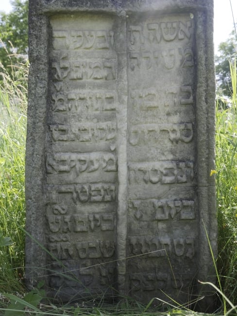 Cmentarz żydowski w Kałuszu (wuł. Biłasa i Danyłyszyna 14)