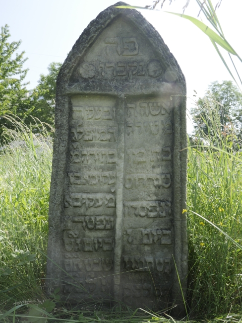 Cmentarz żydowski w Kałuszu (wuł. Biłasa i Danyłyszyna 14)