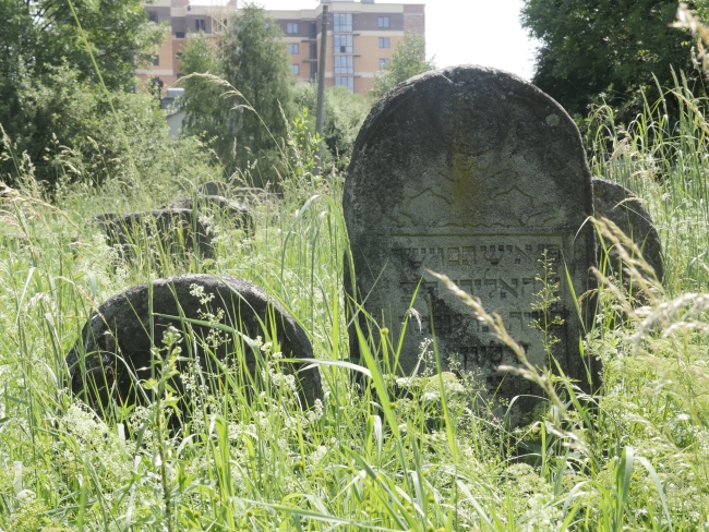 Cmentarz żydowski w Kałuszu (wuł. Biłasa i Danyłyszyna 14)