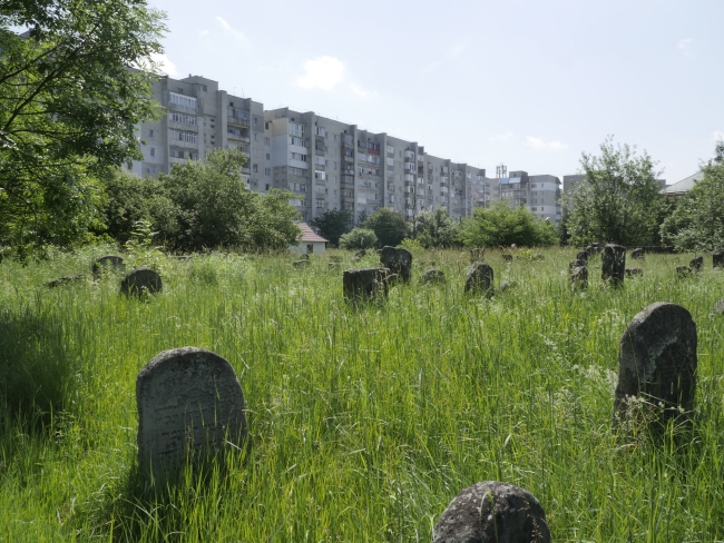 Cmentarz żydowski w Kałuszu (wuł. Biłasa i Danyłyszyna 14)