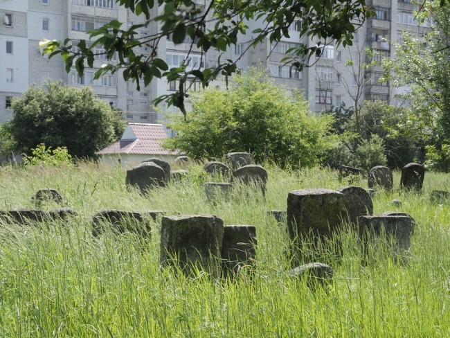 Cmentarz żydowski w Kałuszu (wuł. Biłasa i Danyłyszyna 14)