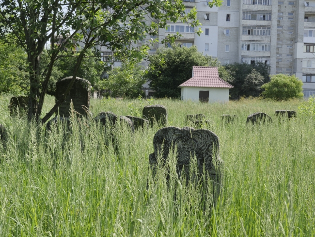 Cmentarz żydowski w Kałuszu (wuł. Biłasa i Danyłyszyna 14)