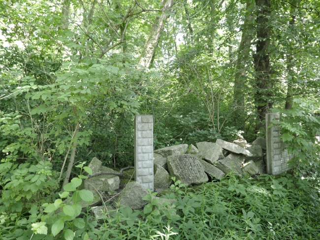 Cmentarz żydowski w Bukaczowcach (wuł. Bohdana Łepkoho)