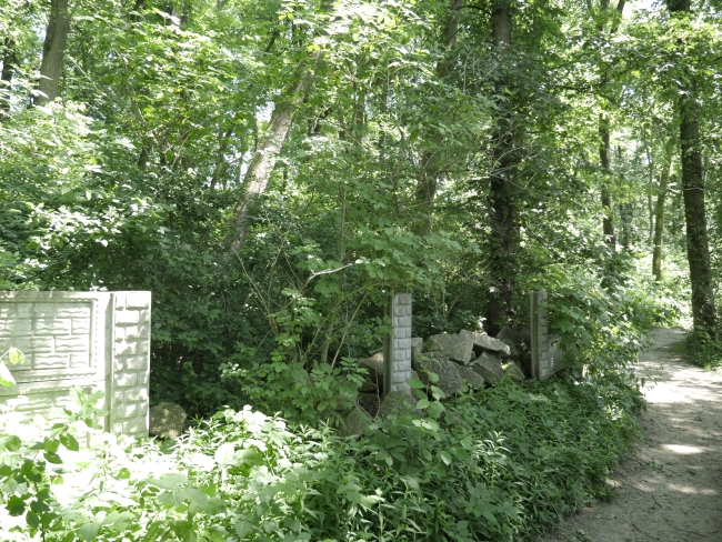 Cmentarz żydowski w Bukaczowcach (wuł. Bohdana Łepkoho)