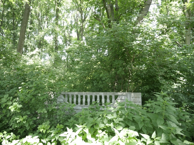 Cmentarz żydowski w Bukaczowcach (wuł. Bohdana Łepkoho)