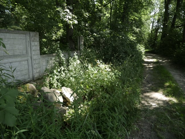 Cmentarz żydowski w Bukaczowcach (wuł. Bohdana Łepkoho)