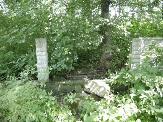 Cmentarz żydowski w Bukaczowcach (wuł. Bohdana Łepkoho)