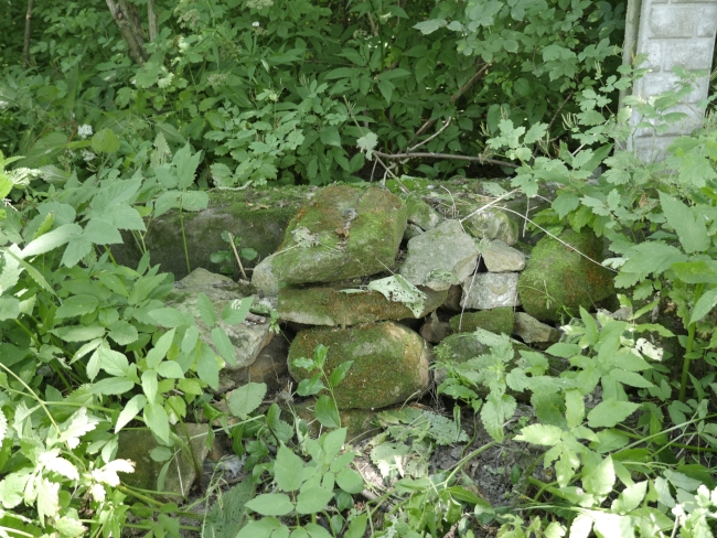 Cmentarz żydowski w Bukaczowcach (wuł. Bohdana Łepkoho)