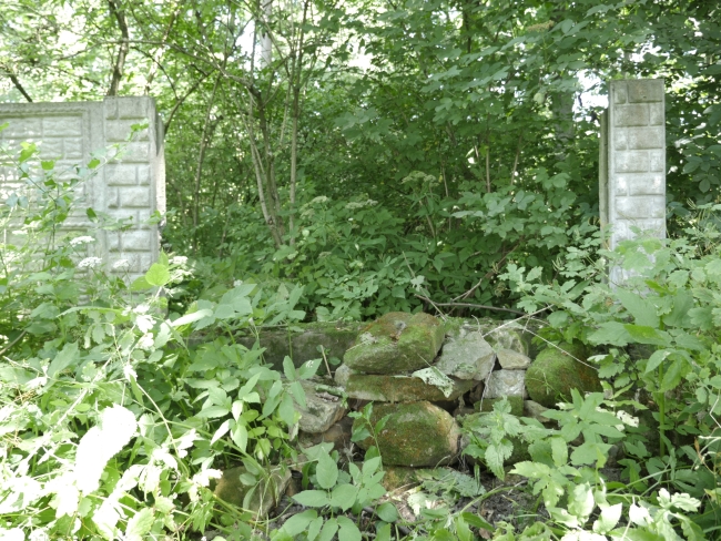 Cmentarz żydowski w Bukaczowcach (wuł. Bohdana Łepkoho)