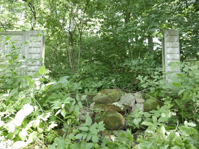 Cmentarz żydowski w Bukaczowcach (wuł. Bohdana Łepkoho)