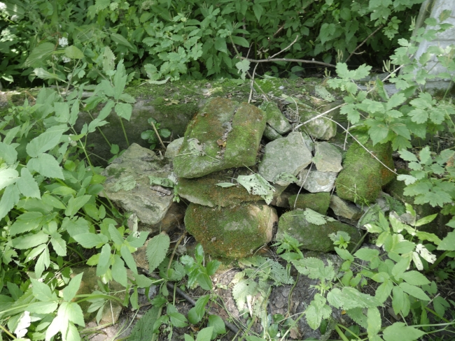 Cmentarz żydowski w Bukaczowcach (wuł. Bohdana Łepkoho)