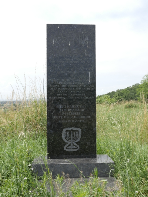 Cmentarz żydowski w Bołszowcach